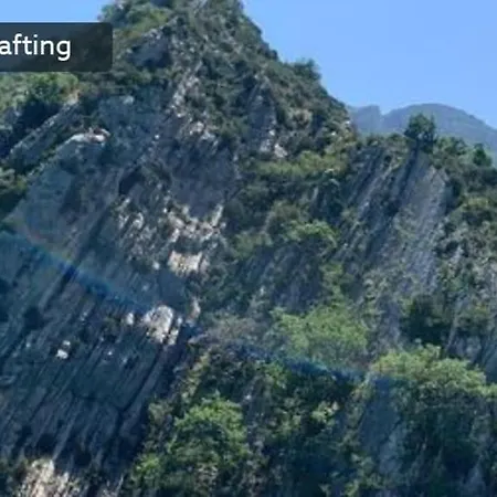 En Provence Tartonne